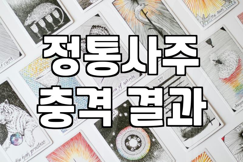 띠별운세 보는 법과 생년월일 기준 해석 차이