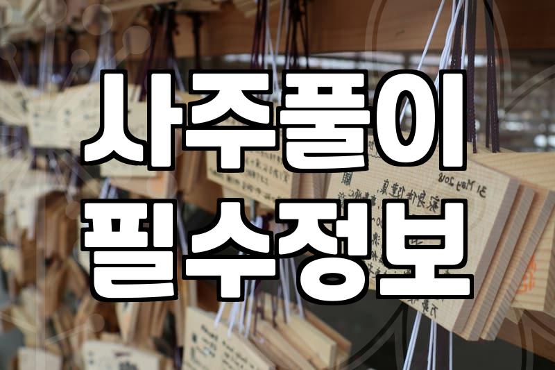 궁합보기 비용과 실제 사주 분석에서 확인하는 항목