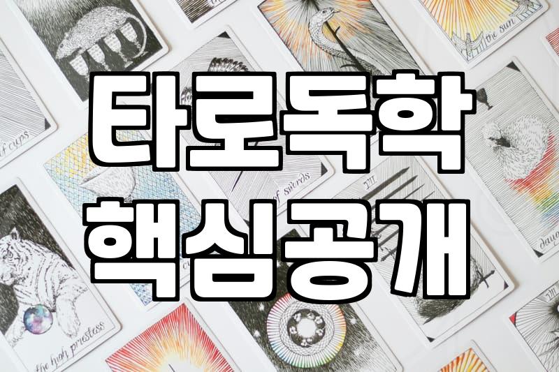 카톡타로 비용과 진행 방식 결정 기준