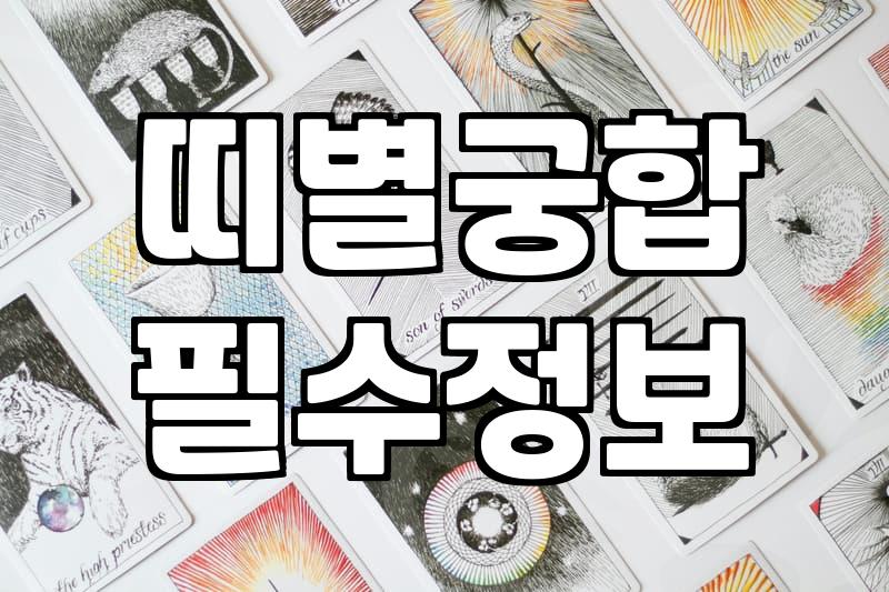 뱀띠토끼띠궁합 실질적인 성향 조화와 관계 해결법