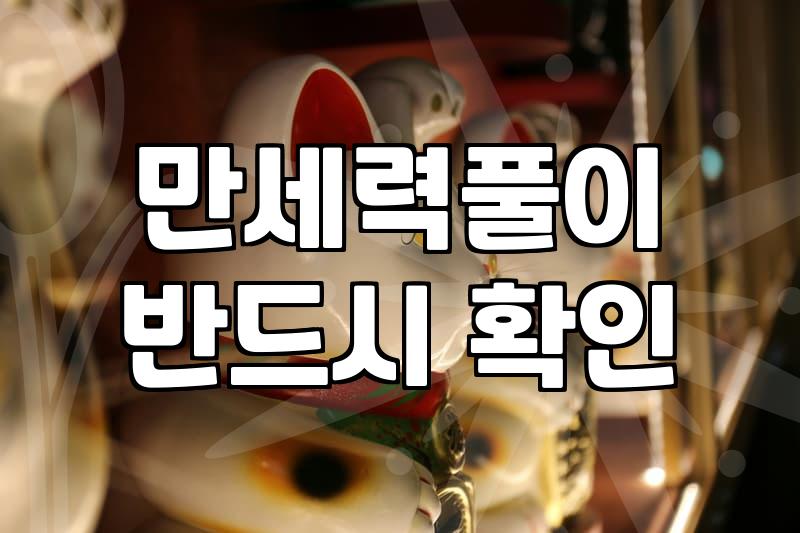 무료궁합 결과에서 사주원국 대조와 오행 분석이 필수적인 이유