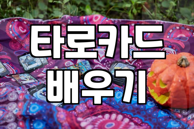 타로강의 선택 전 알아야 할 학습 비용과 실습 기간