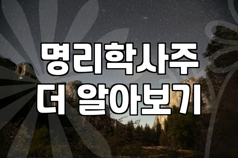 도사사주 풀이의 정확도와 상담 선택 시 고려해야 할 현실적 기준