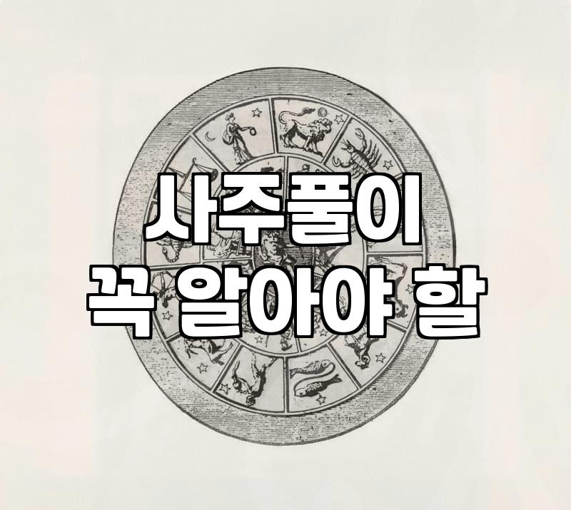 올해연애운 변화 흐름과 사주에서 확인해야 할 핵심 요소