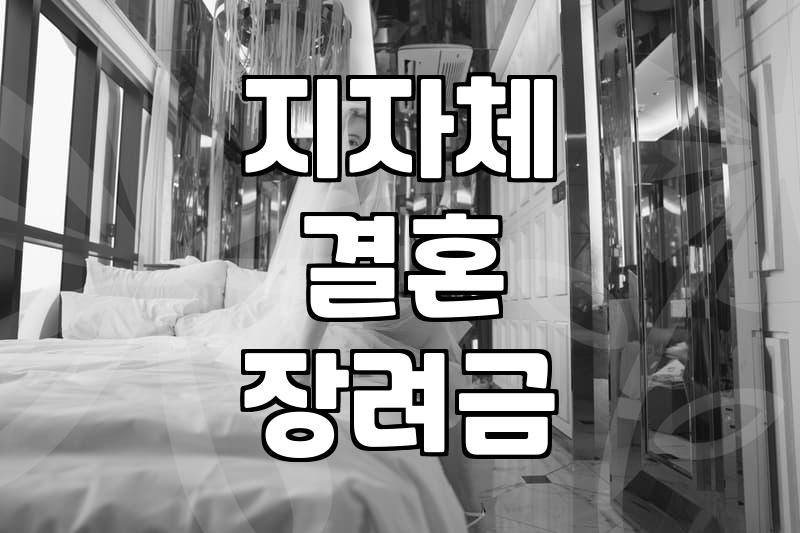 결혼지원금 지자체별 신청 조건과 실질적인 지급 범위