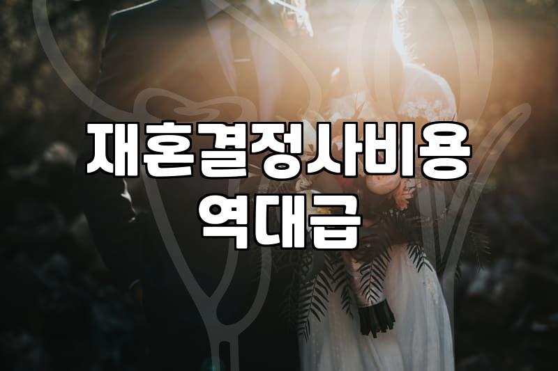 재혼결정사, 솔직히 돈값 할까? 현직 돌싱이 말하는 현실 가이드