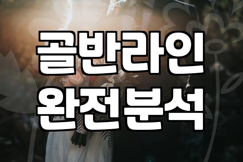 머메이드드레스 선택 전 체형별로 반드시 따져봐야 할 현실적인 기준