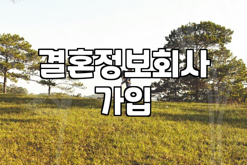 결정사등급 체계와 회원 가입 시 실질적인 평가 기준