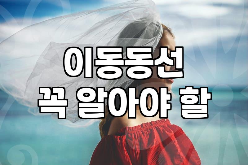 대구웨딩카 예약 전 반드시 따져봐야 할 현실적인 체크리스트