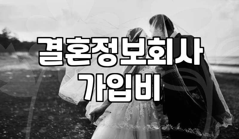 요즘 직장인들이 결정사를 찾는 이유와 현실적인 비용 체계