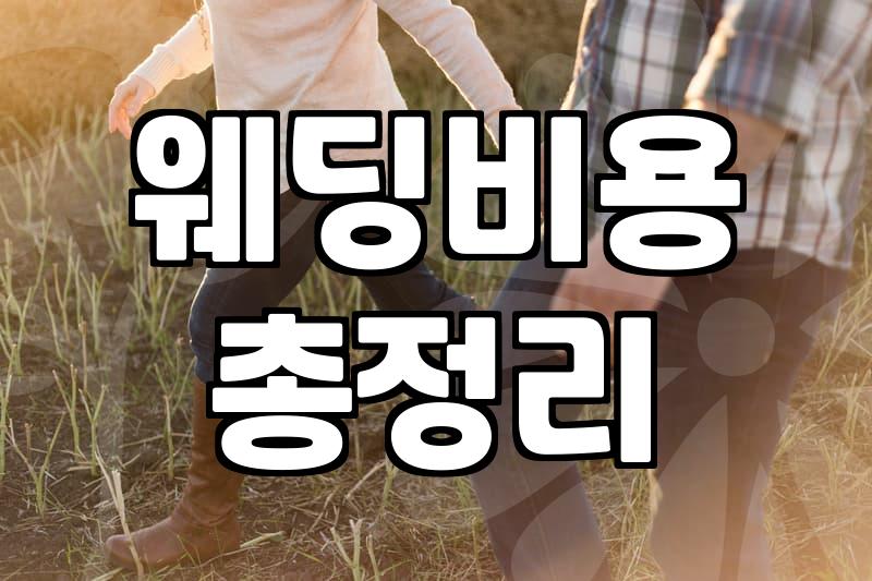 결혼비용 평균 금액과 예산 분담의 현실적인 기준