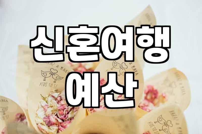 신혼여행, 계획부터 현지까지 똑똑하게 준비하는 법