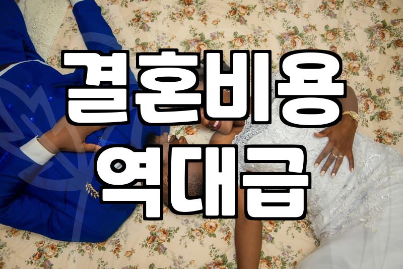 결정사 가입 전 반드시 확인해야 할 비용과 매칭 과정