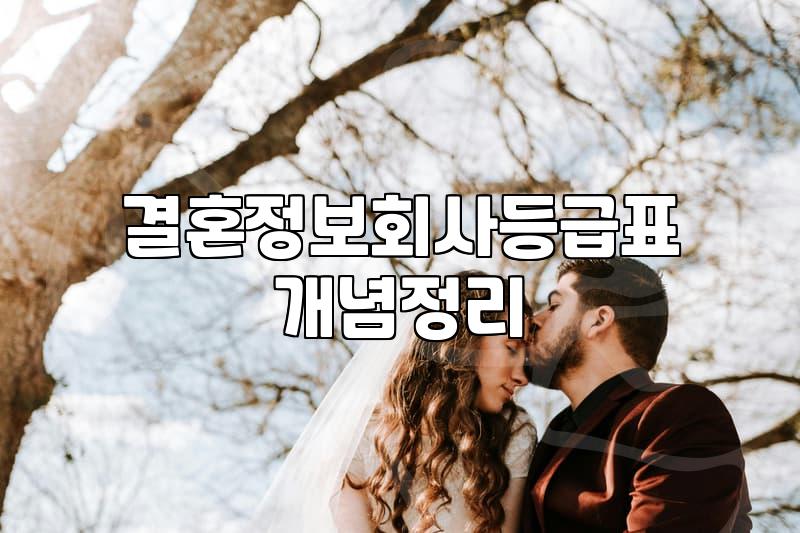 결정사등급 산정 기준과 현실적인 가입비용 범위