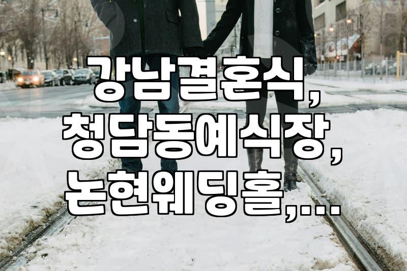 강남/청담동 예식장, 현실적인 고민과 후기: ‘가격’만큼 중요한 ‘분위기’와 ‘이동 편의성’
