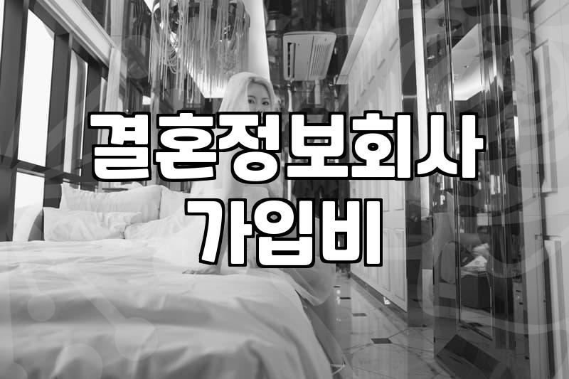 결혼정보업체순위 비교할 때 반드시 확인하는 가입비와 매칭 횟수