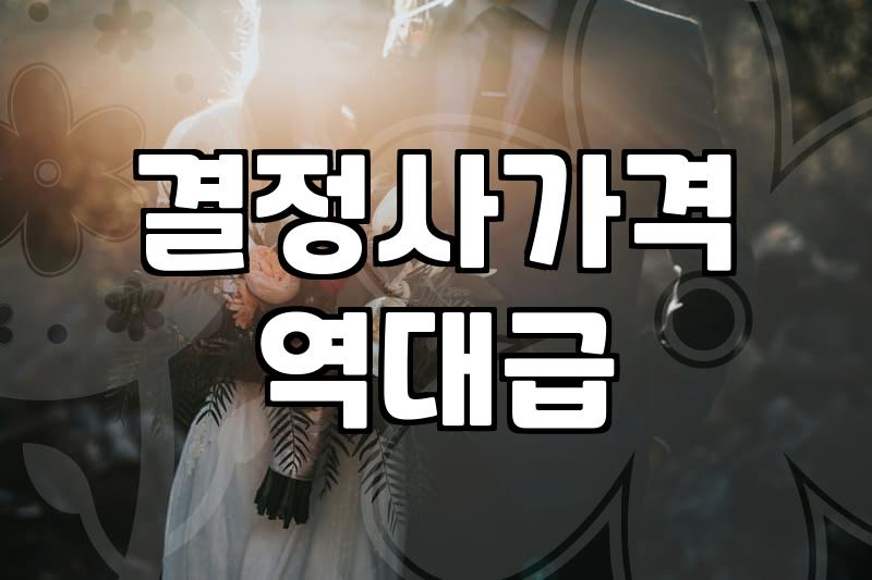 결정사가입비 수준과 비용 구조를 결정짓는 요인