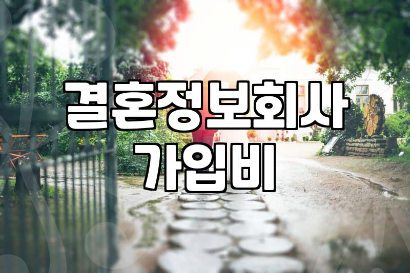결정사가격 형성의 기준과 가입 시 고려해야 할 현실적인 비용 체계