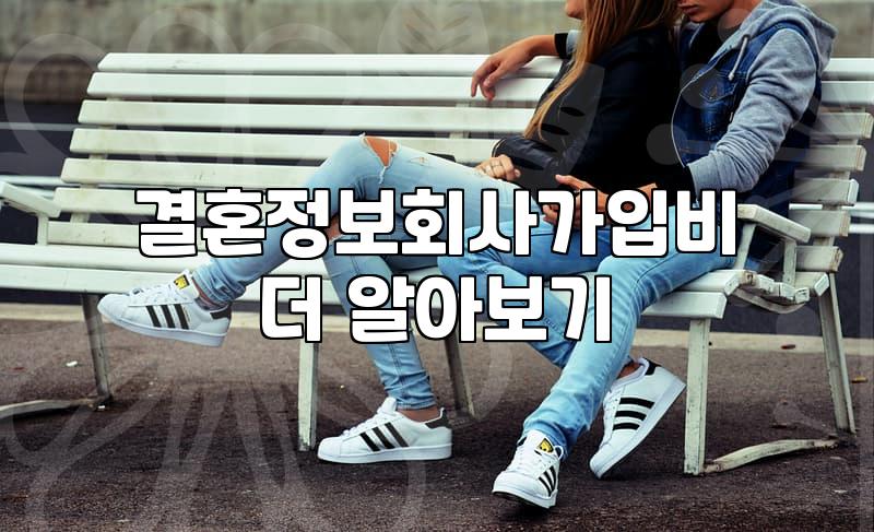 결정사비용 책정 기준과 가입 시 고려해야 할 현실적인 요소들