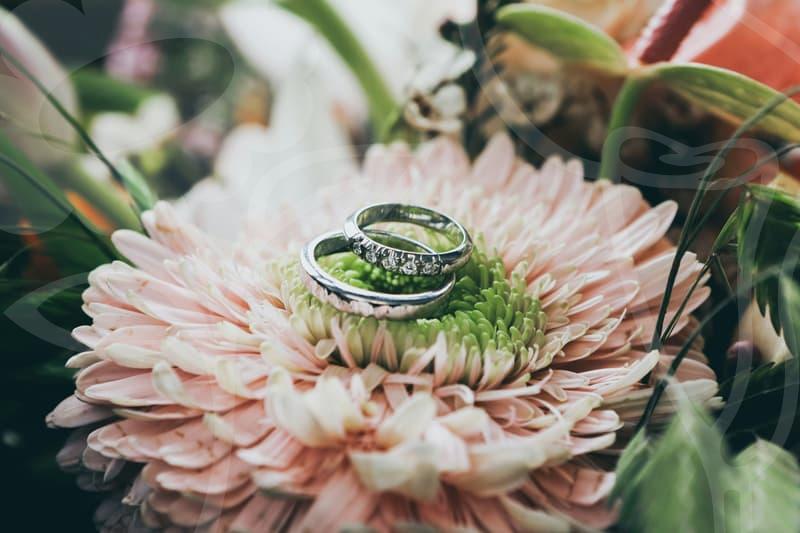 결정사순위, 어떤 곳이 나에게 맞을까?