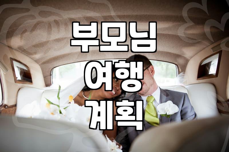 부모님 모시고 떠나는 여행, 계획보다 중요한 건 ‘현실적인 타협’입니다