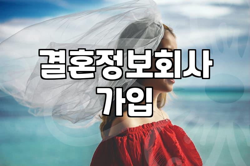 결정사성혼비 액수 결정 기준과 납부 시기 실무 가이드
