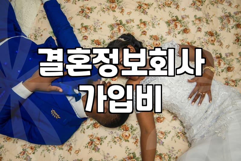 결정사비용 산정 기준과 서비스 유형별 실제 가격 범위
