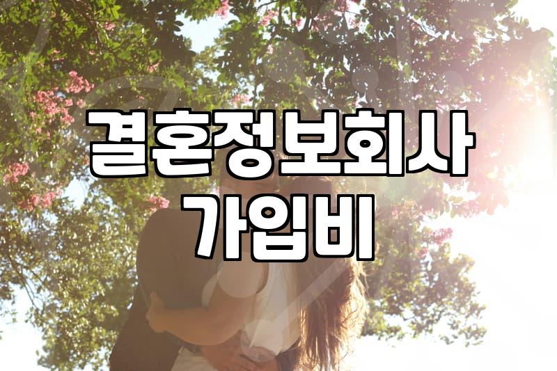 결정사성혼비 책정 기준과 납부 시점 확인하기