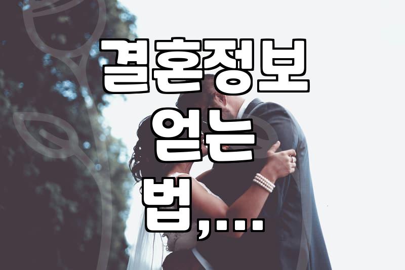 결혼정보, 혹시 소개팅 앱 말고 다른 방법은 없을까?