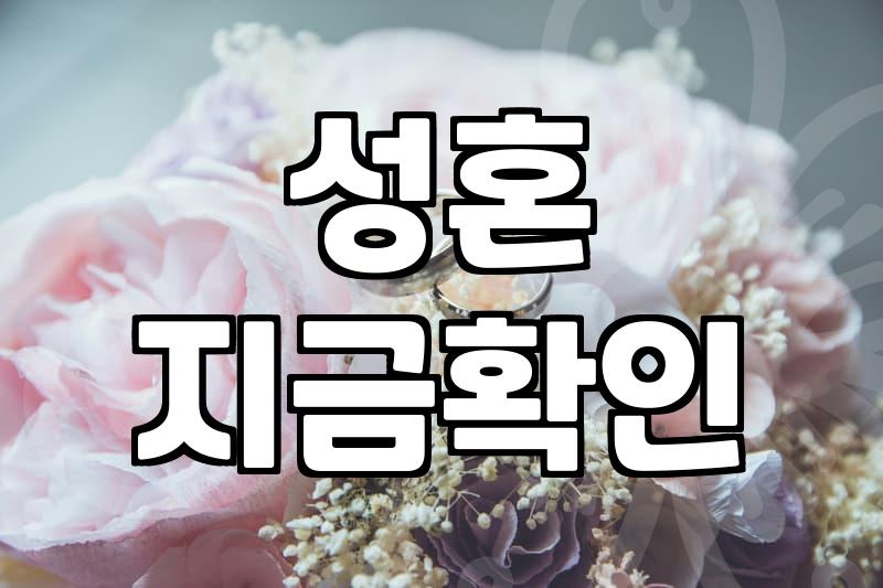 결혼업체, 제대로 알고 이용해야 후회 안 합니다