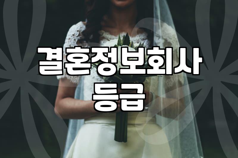 결정사비용 산정 기준과 등급별 가입비 현실